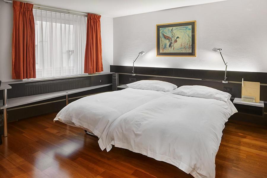 Hotel Du Commerce Basel Eksteriør bilde